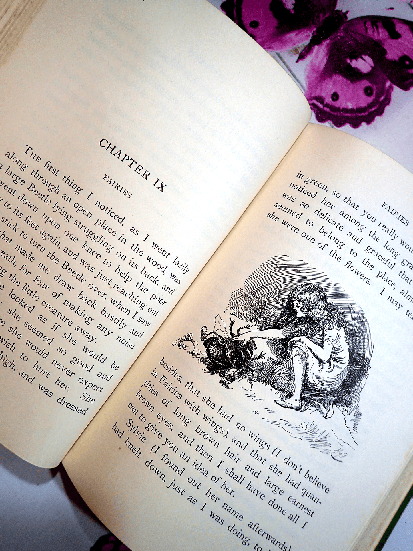 Sylvie and a beetle in the Story of Sylvie and Bruno Lewis Carroll Vintage Hardback Book Macmillan