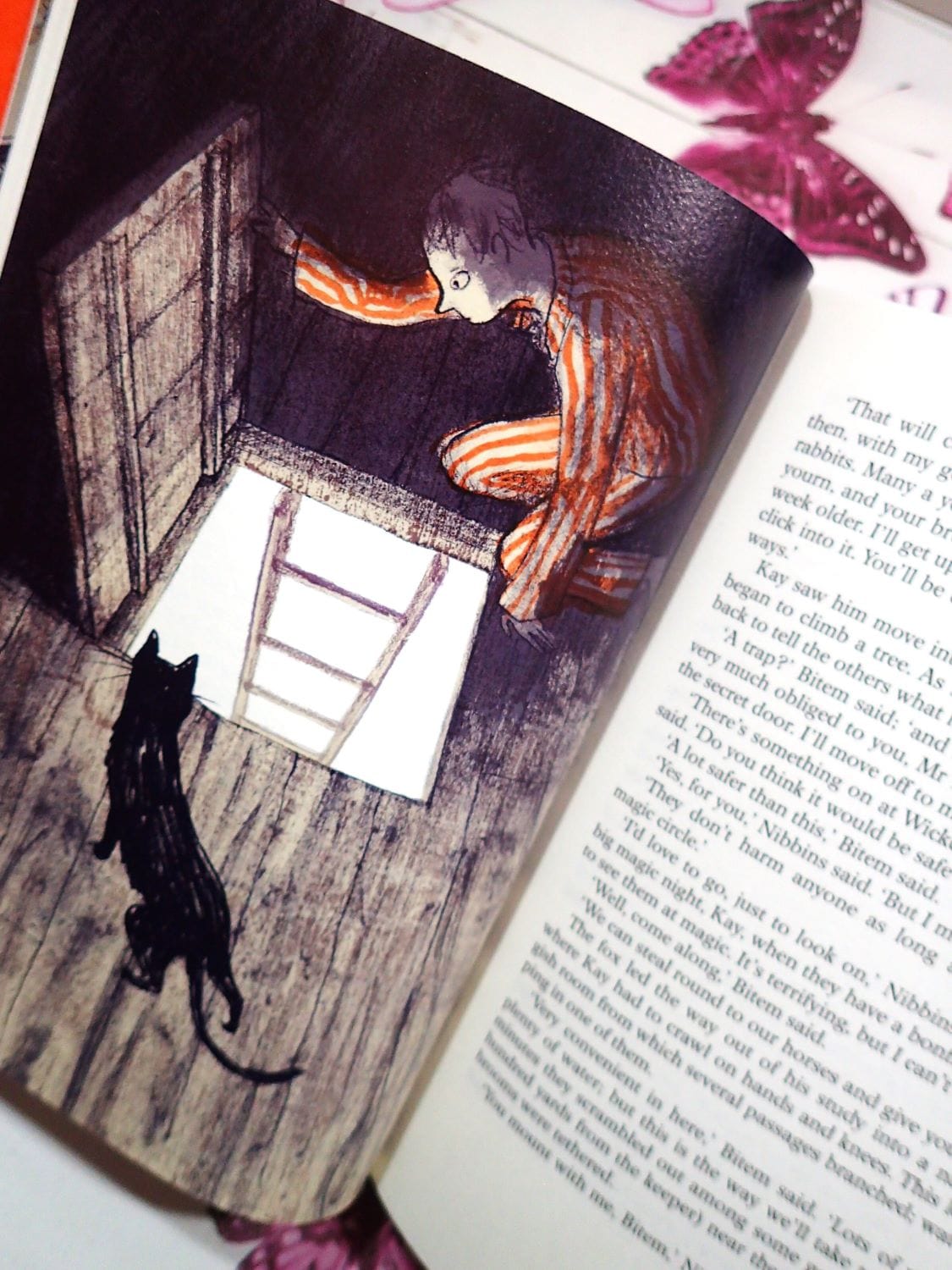 Illustration of Kay Harker and black cat in The Midnight Folk John Masefield Folio First Edition Book with illustrated cover and slipcase. 