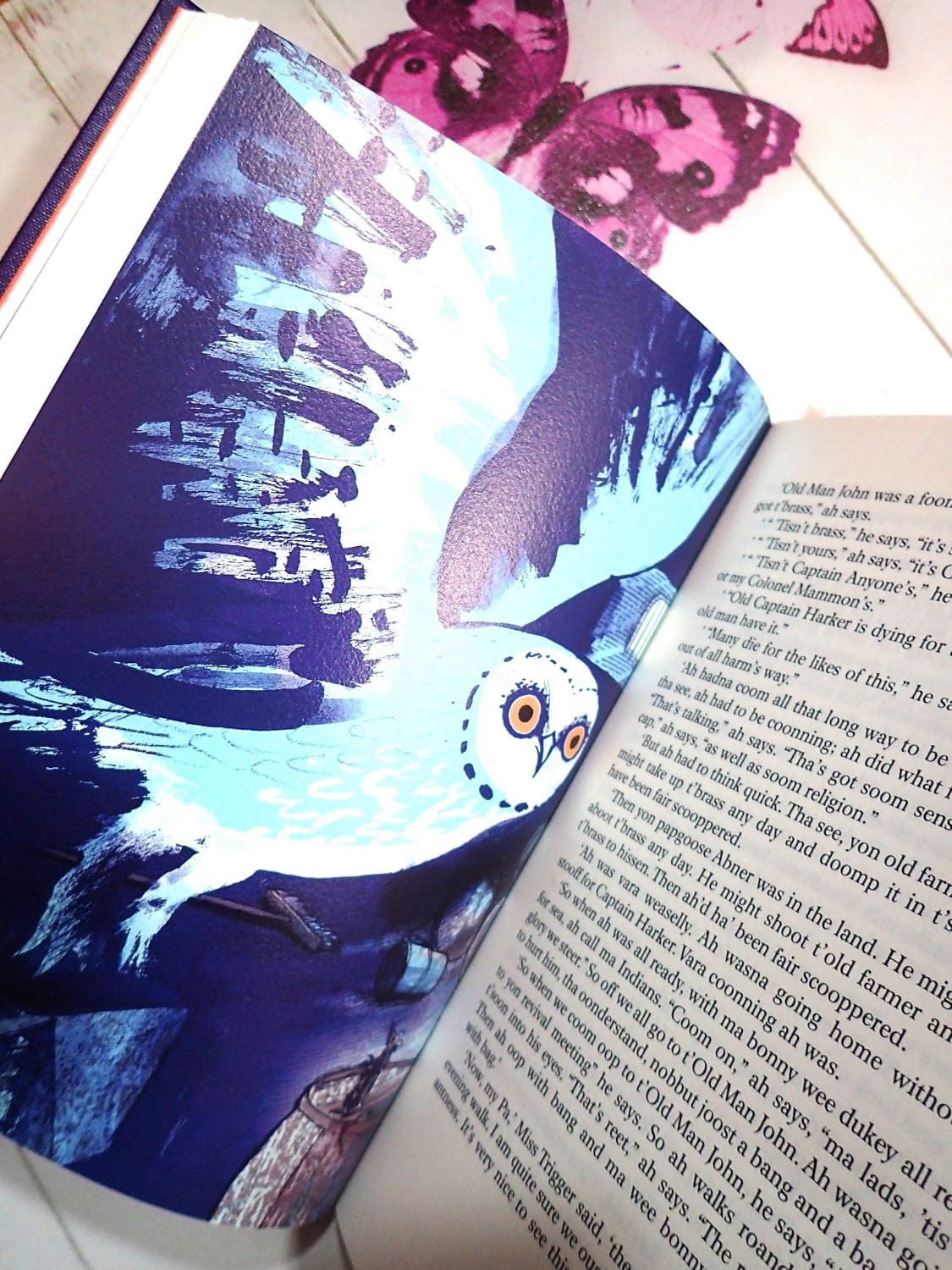 Illustration of an owl in The Midnight Folk John Masefield Folio First Edition Book with illustrated cover and slipcase. 