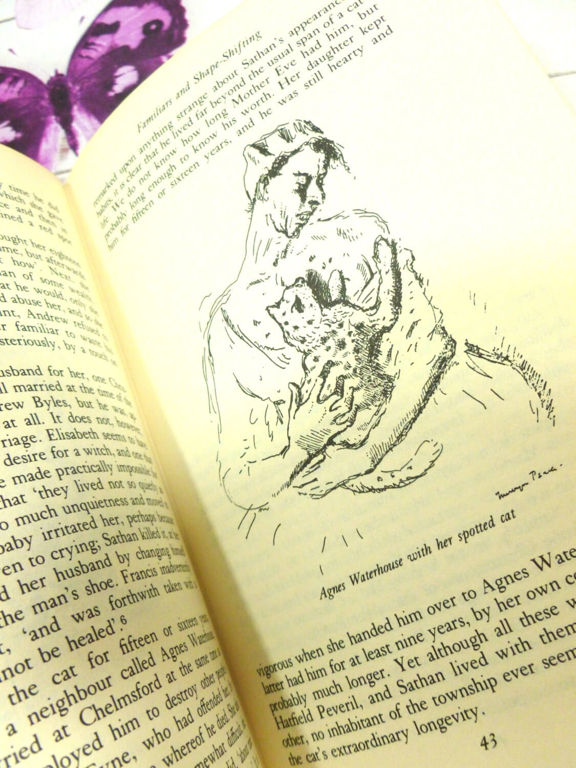 Page of Vintage Witches Book Witchcraft in England Christina Hole 1st Ed. 1977 showing Mervyn Peake illustration of Agnes Waterhouse with her spotted cat. 